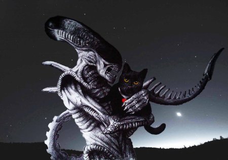 Чужой кот