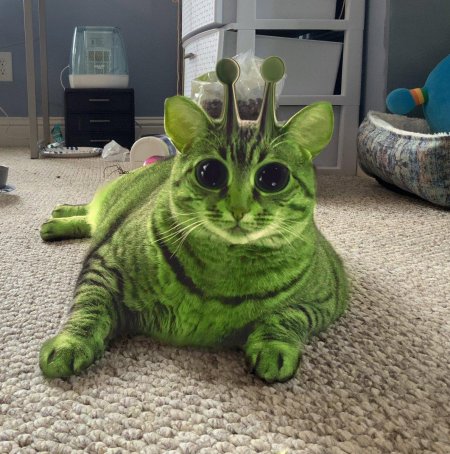 Зеленый кот инопланетянин