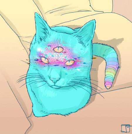 Космический кот