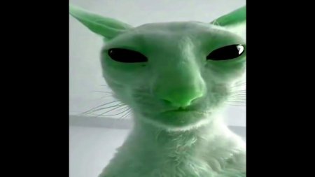 Зелёный кот пришелец мем