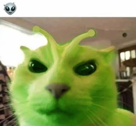Зеленый кот инопланетянин