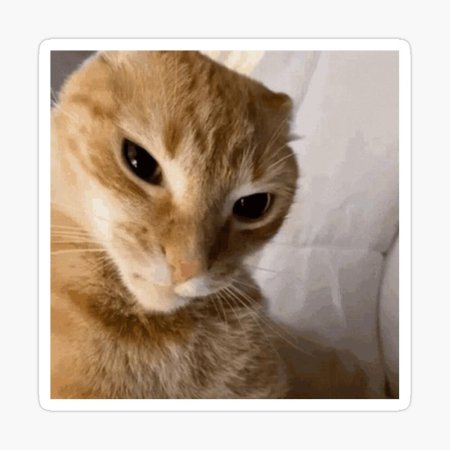Глупая кошка