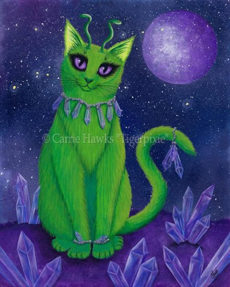 Космические коты