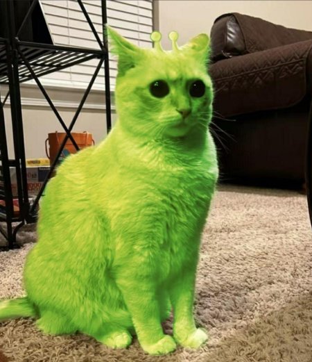 Зелёный кот пришелец мем