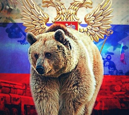 Русский медведь символ россии