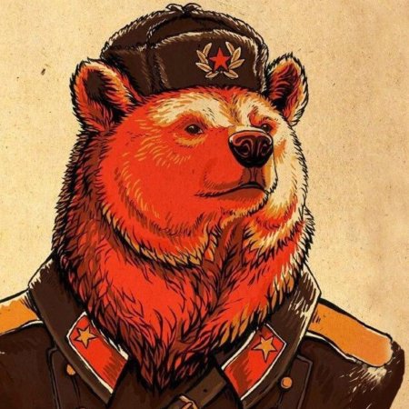 Медведь русский