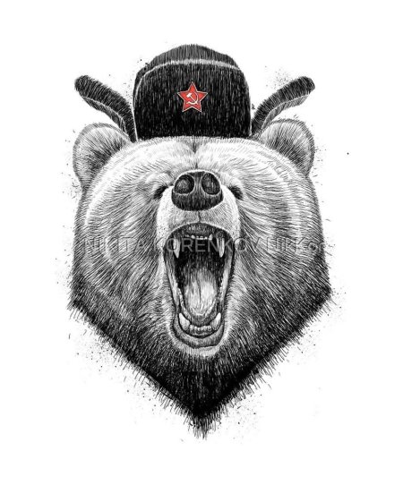 Медведь в ушанке