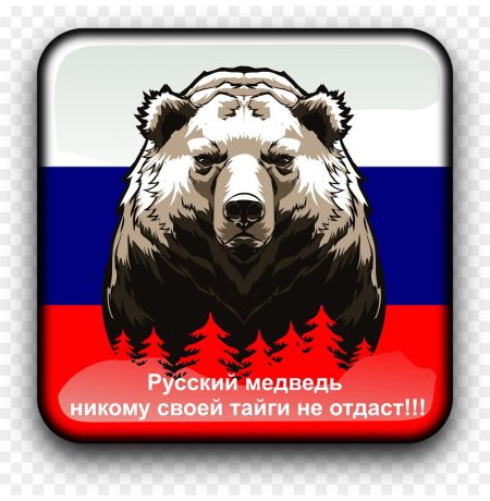 Медведь русский