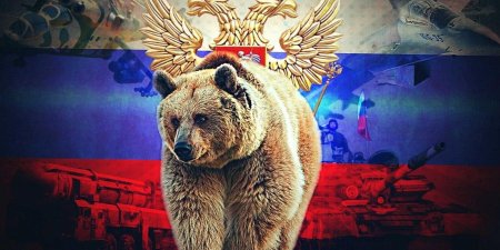 Россия медведь