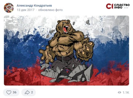 Медведь на фоне российского флага