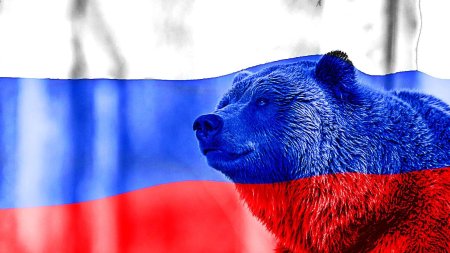 Бурый медведь символ россии