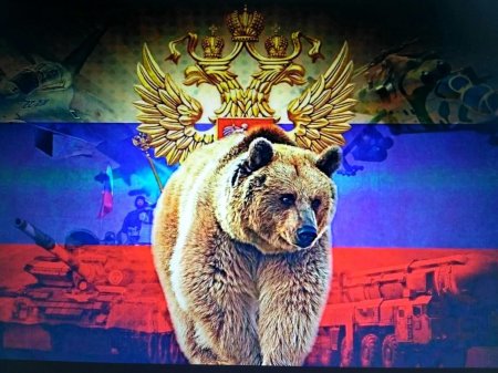 Россия медведь