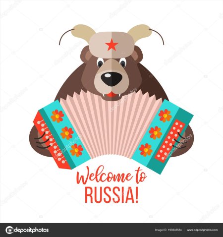 Медведь с гармошкой