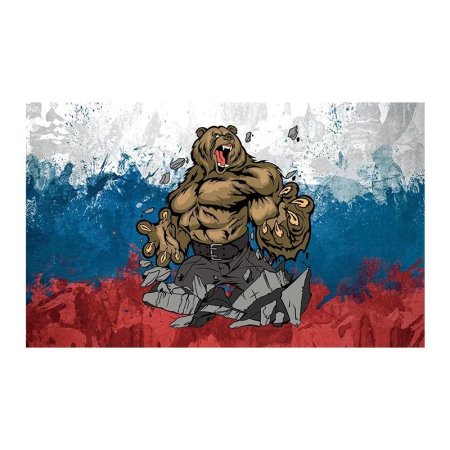 Медведи россии