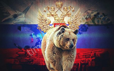 Россия медведь