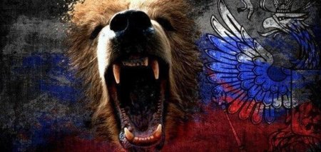 Медведи россии
