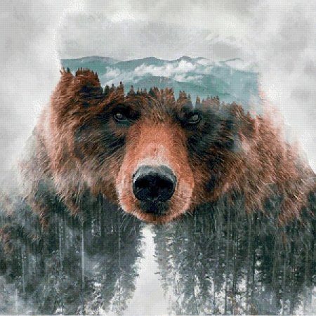 Медведь русский