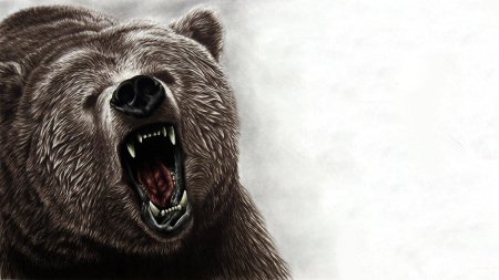 Грозный медведь гризли
