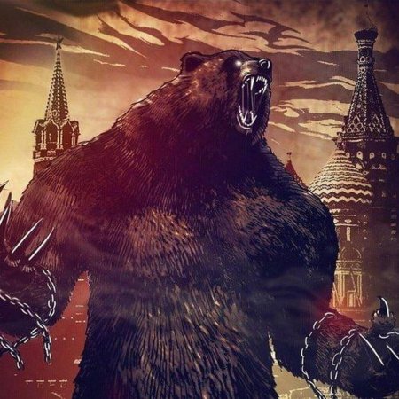 Россия медведь