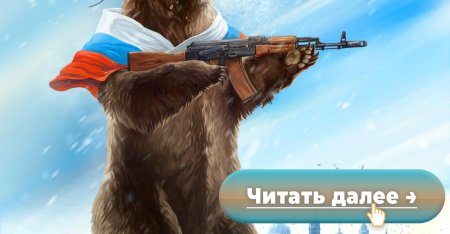 Россия медведь