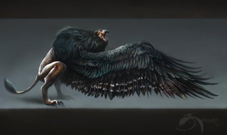 Королевский грифон ведьмак