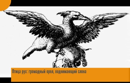 Птица рухх синдбад