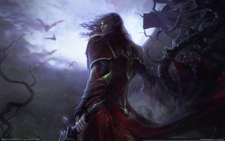 Игра castlevania lord of shadow