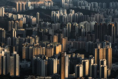 Каменные джунгли гонконга