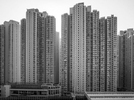 Человейники москва