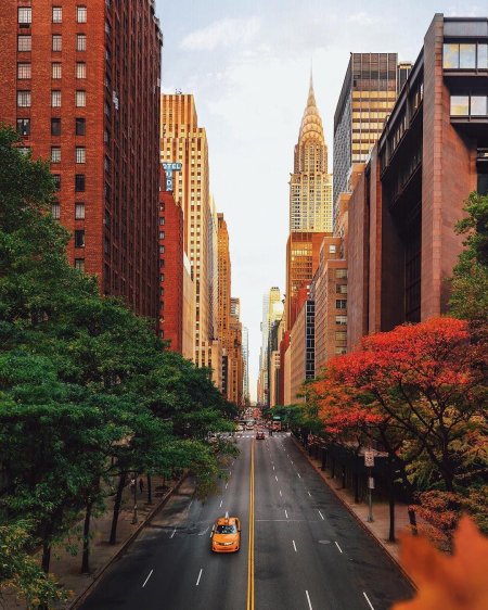 Нью йорк new york
