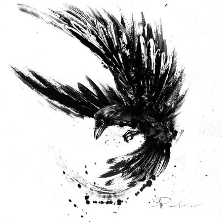 Ворон феникс (crow phoenix)