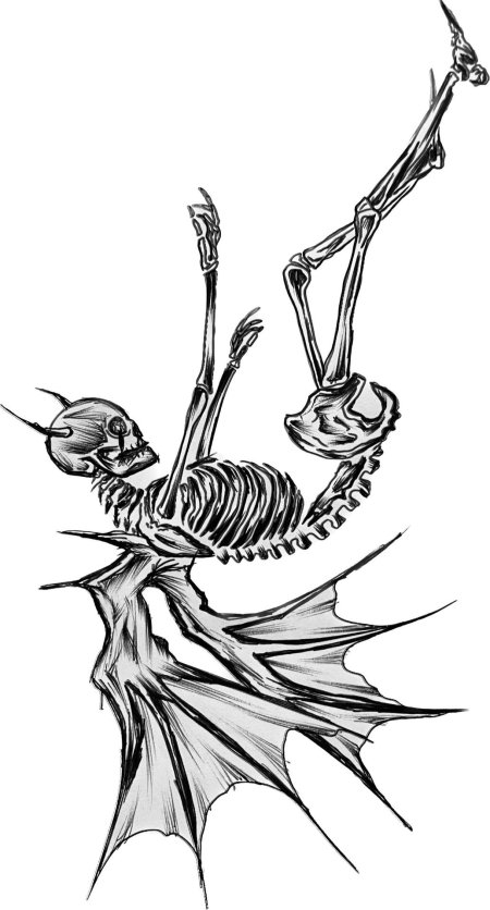 Рисунки скелет