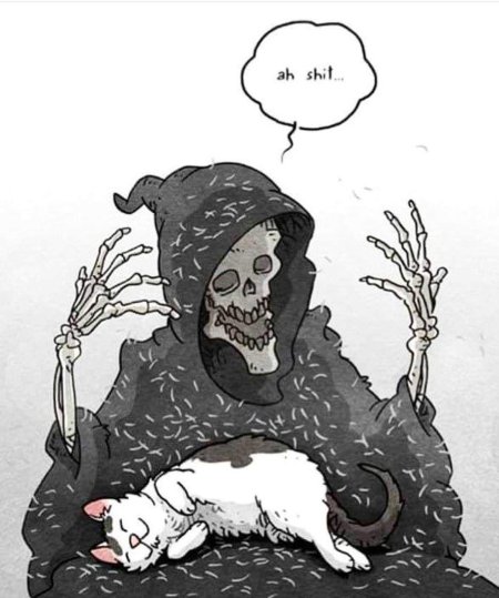 Скелет с котом