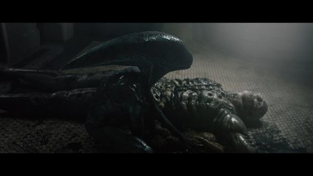 Прометей фильм 2012 чужой змея