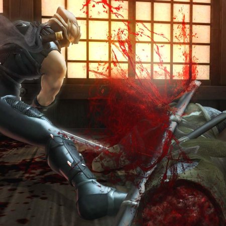 Игра ninja gaiden