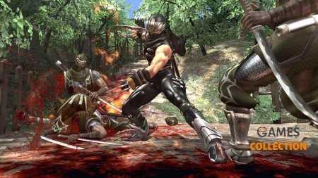 Ninja gaiden sigma 2