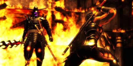 Ninja gaiden black