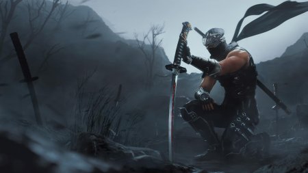 Ninja gaiden 2 black