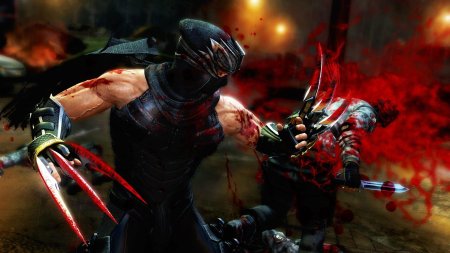Ninja gaiden 3