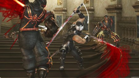 Игра ninja gaiden