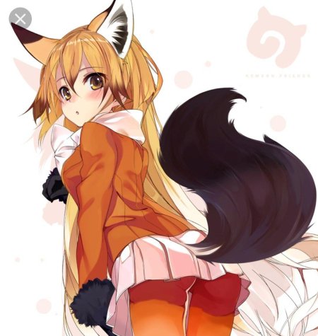 Kemono friends лиса
