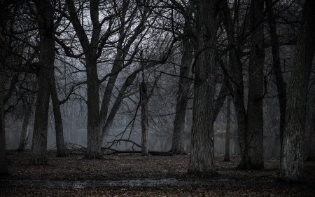 Мрачные пейзажи
