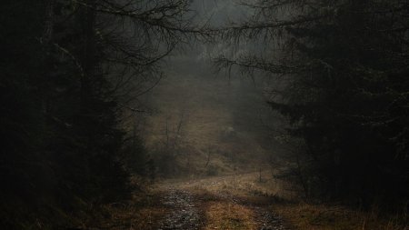 Мрачный пейзаж