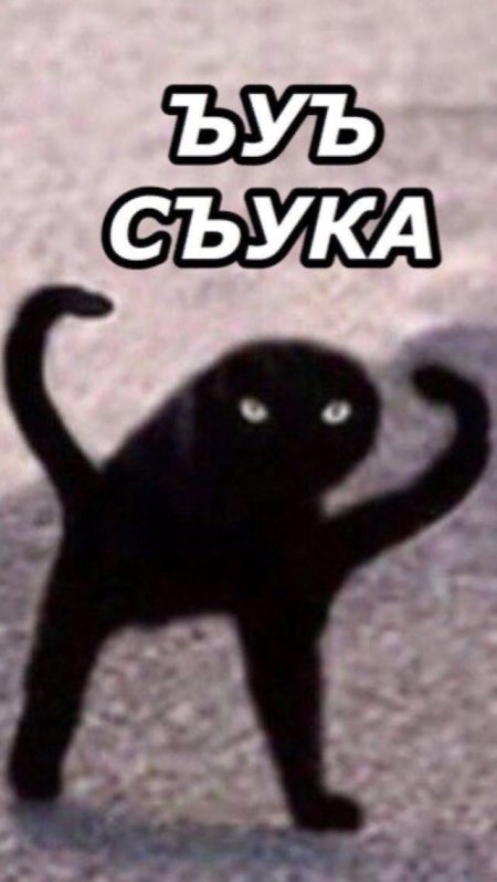 Мем черный кот
