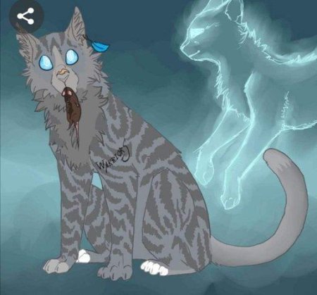 Коты воители аватар мейкер