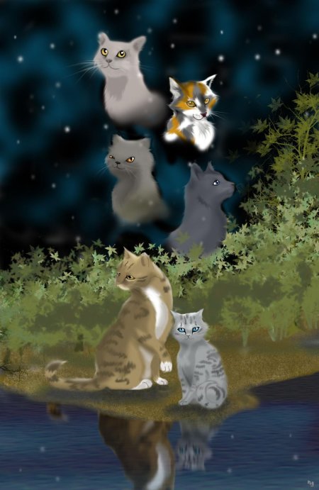 Коты воители звездное племя