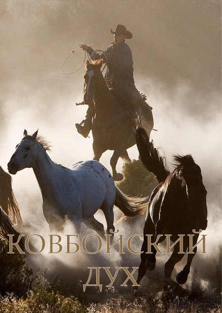 Ковбой на лошади