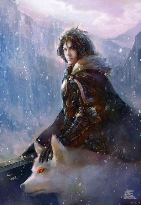 Джон сноу книжный арт