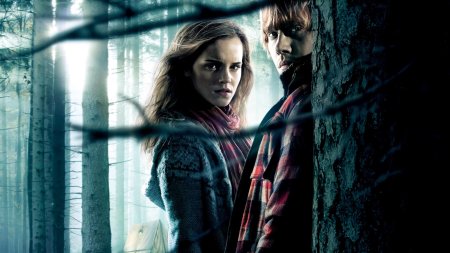 Гарри рон и гермиона дары смерти 2