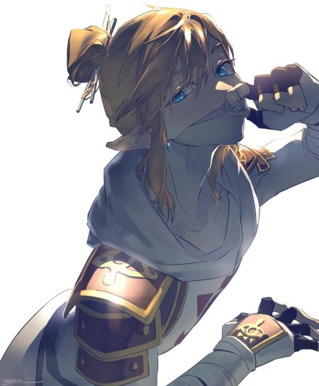 Link botw